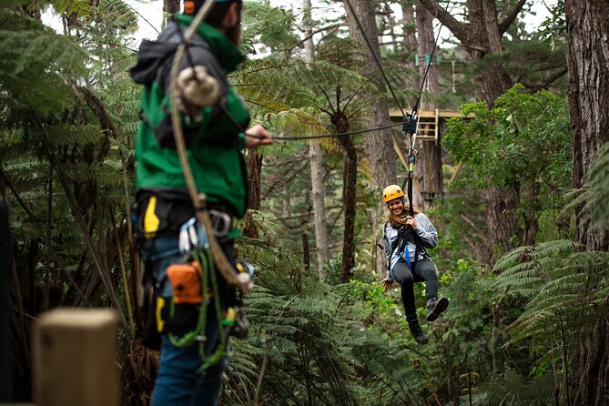 Adventurous Zipline Tour in Coromandel - Key things that make this zipline tour worth your time