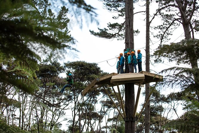 Adventurous Zipline Tour in Coromandel - Coromandel Ziplining Starts With a Mountain Railway, Not a Parking Lot