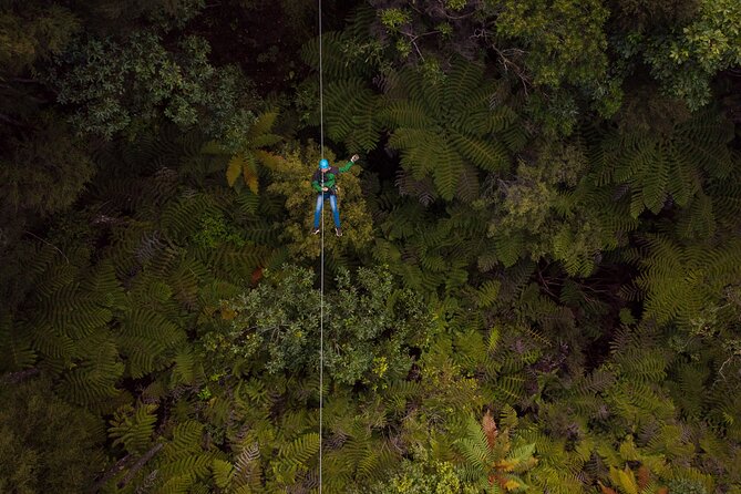 Adventurous Zipline Tour in Coromandel - Outfitting, Safety Gear, and Wet-Weather Clothing You Do Not Have to Hunt Down