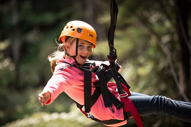 Adventurous Zipline Tour in Coromandel - Flying the Canopy: How the 8 Ziplines Play Out Above Kauri Forest