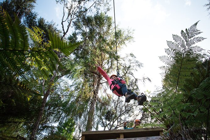 Adventurous Zipline Tour in Coromandel - The Forest Story You Hear While You Walk and Wait Between Lines