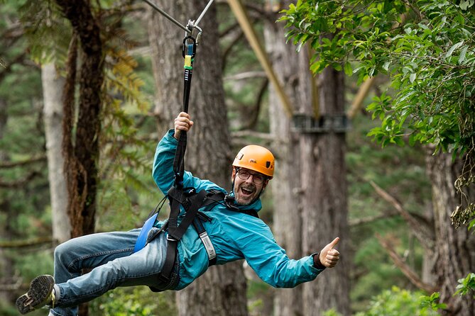 Adventurous Zipline Tour in Coromandel - How Guides Turn a Scary Activity Into a Confident One