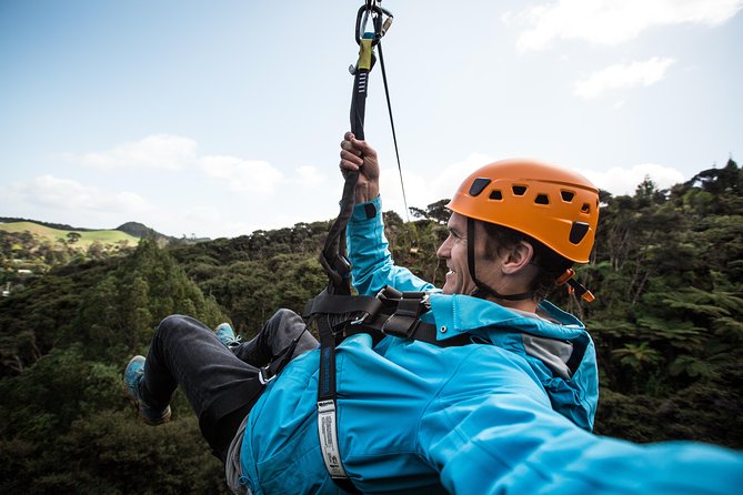 Adventurous Zipline Tour in Coromandel - The Driving Creek Meeting Point and the Small-Group Advantage