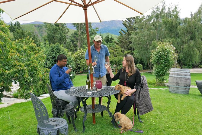 Afternoon Boutique Wine Tour - Tastings, Snacks, and How to Taste Without Getting Overwhelmed