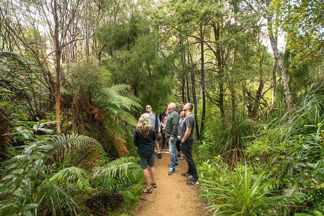 Afternoon Piha Beach and Rainforest Tour from Auckland - Piha Beach time: black sand, rough water, and photo-ready scenery