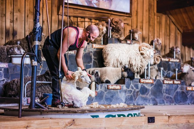 Agrodome Farm Experience including Farm Show and Farm Tour - Rotorua - Entering a 350-Acre Working Farm Close to Rotorua