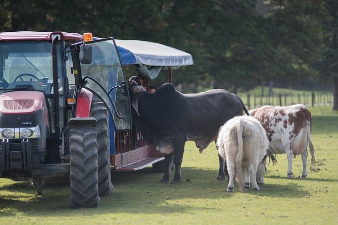 Agrodome Farm Experience including Farm Show and Farm Tour - Rotorua - Interactions That Feel Real, Not Scripted