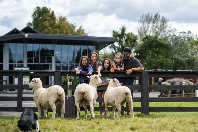 Agrodome Farm Experience including Farm Show and Farm Tour - Rotorua - Price and Value: What You Get for About $40.34