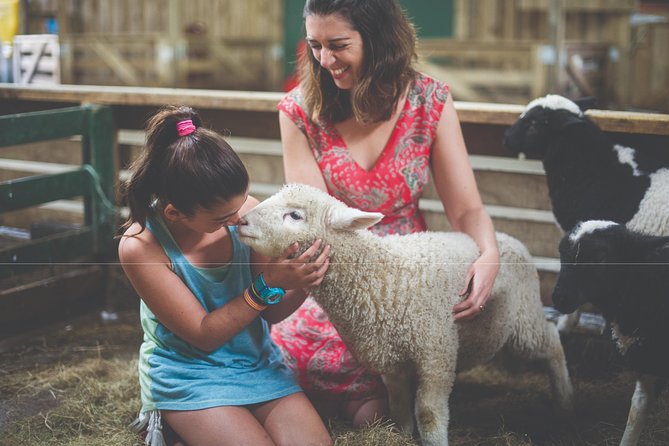 Agrodome Farm Experience including Farm Show and Farm Tour - Rotorua - What to Bring and How to Make It Easier