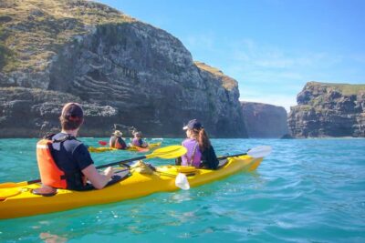 4WD Safari and Guided Sea-Kayaking Experience