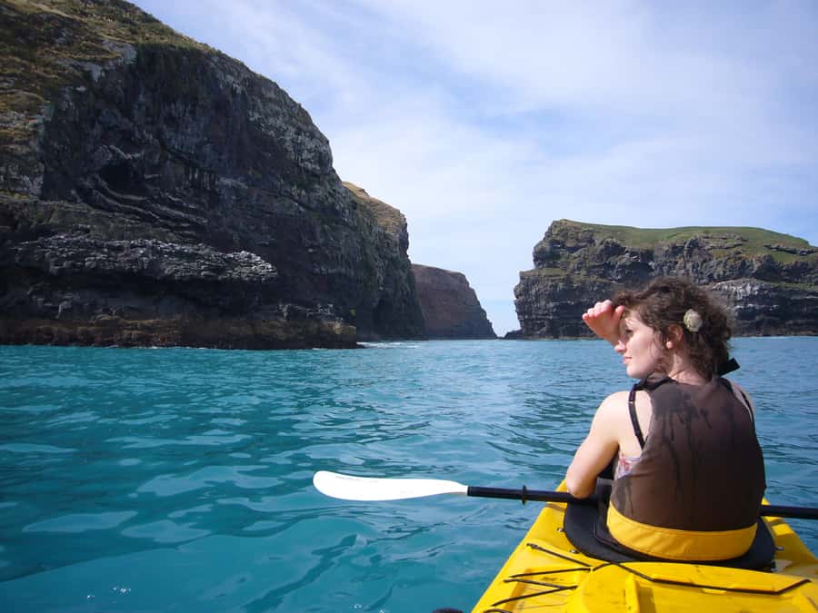 Akaroa: 4WD Safari and Guided Sea-Kayaking Experience - Pohatu Marine Reserve: sea cliffs, reefs, and cave country