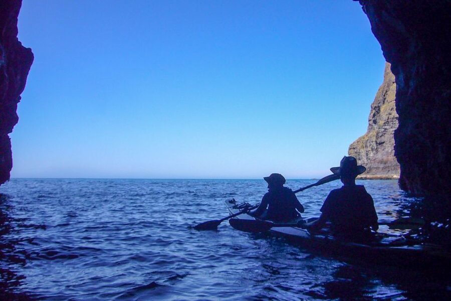 Akaroa: 4WD Safari and Guided Sea-Kayaking Experience - Wildlife sightings that feel respectful and real