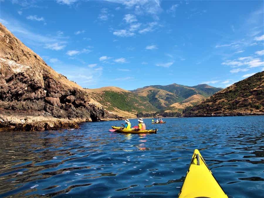 Akaroa: 4WD Safari and Guided Sea-Kayaking Experience - Morning vs afternoon: what changes in the experience