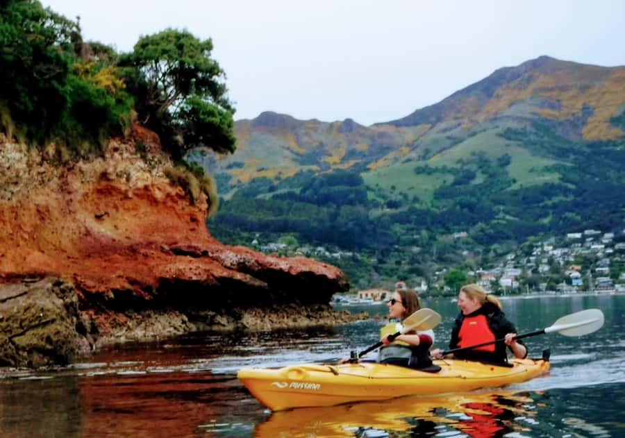 Akaroa: Akaroa Marine Reserve Sea Kayaking Tour - Who should book this Akaroa kayaking tour