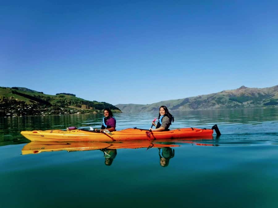 Akaroa: Akaroa Marine Reserve Sea Kayaking Tour - Akaroa Marine Reserve: why the scenery and wildlife feel connected