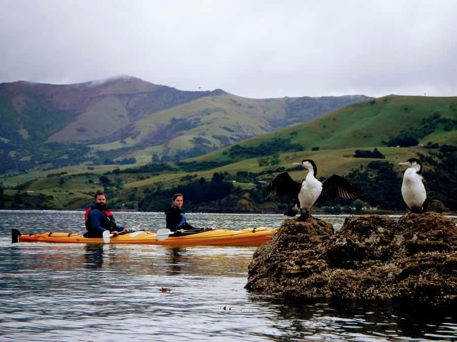 Akaroa: Akaroa Marine Reserve Sea Kayaking Tour - Getting to the water at Akaroa: what you need to know before you start