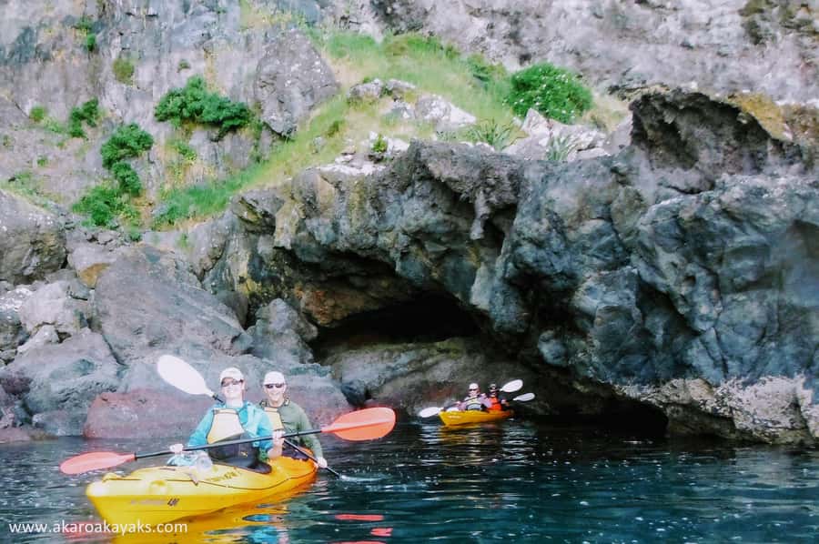 Akaroa: Akaroa Marine Reserve Sea Kayaking Tour - How hard is it? Wind, waves, and that real arm-work moment