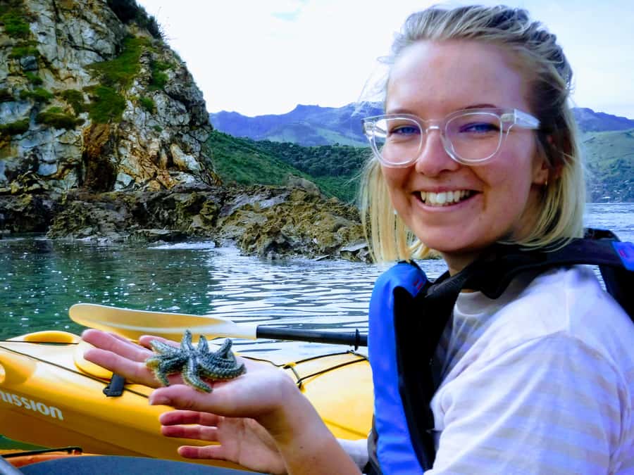 Akaroa: Akaroa Marine Reserve Sea Kayaking Tour - The guide experience: what makes the best ones feel personal