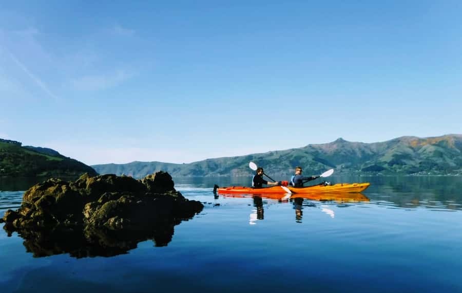 Akaroa: Akaroa Marine Reserve Sea Kayaking Tour - Small-group kayaking with one guide: how it changes the day