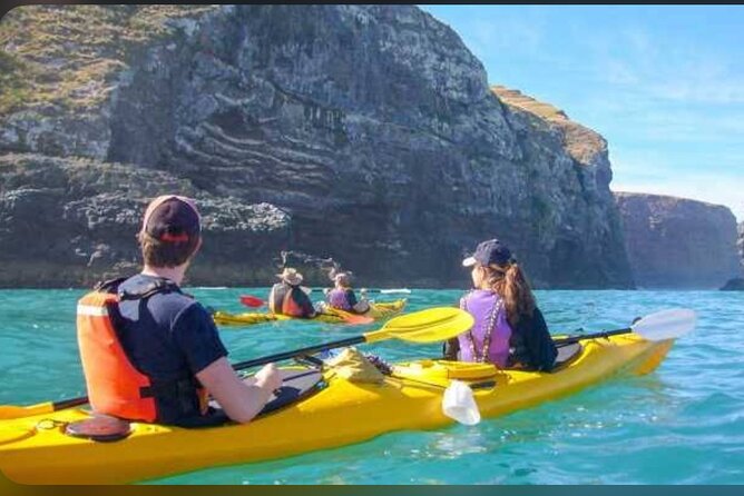 Akaroa Day Tour From Christchurch - The Christchurch to Lyttelton Volcano-Cradle Start