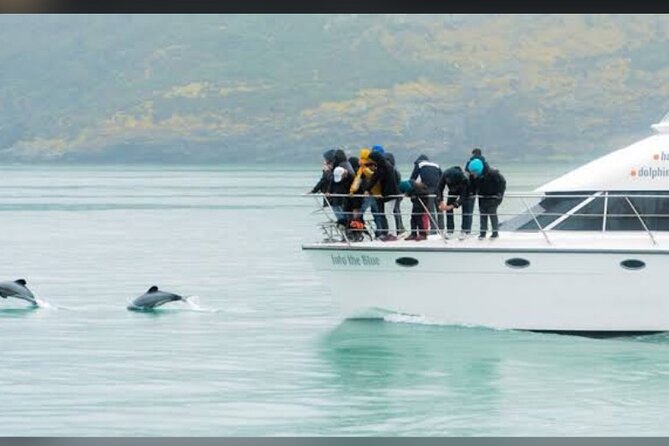Akaroa Day Tour From Christchurch - Comfort, Wi-Fi, and Small-Group Style