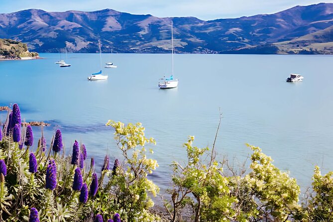 Akaroa Day Tour from Christchurch Return - Akaroa Museum: a free start that helps you read the town