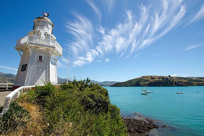 Akaroa Day Tour from Christchurch Return - Optional Akaroa wildlife cruise: Hector’s dolphins, seals, and penguins