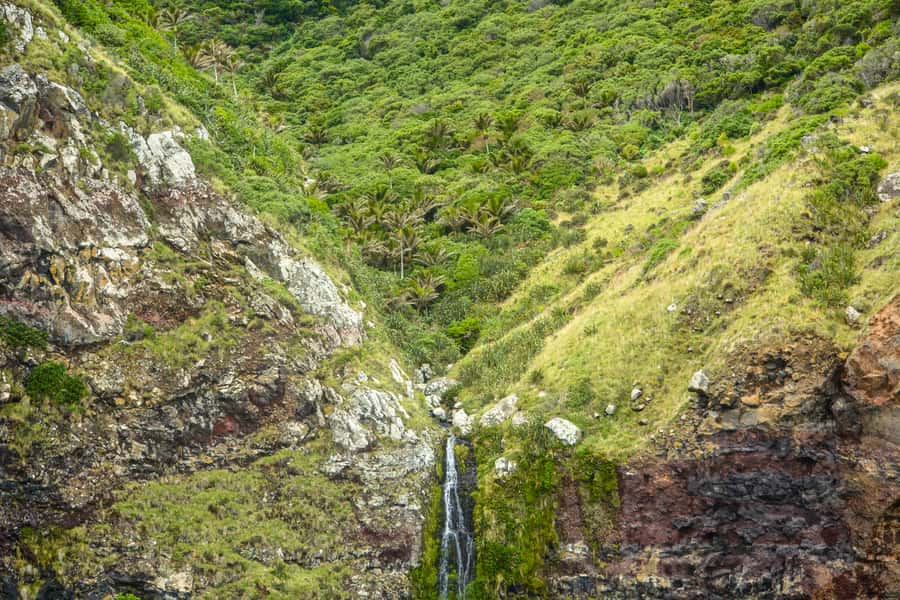 Akaroa: Dolphin Nature Cruise - Wildlife beyond Hector’s dolphins: seals, penguins, seabirds