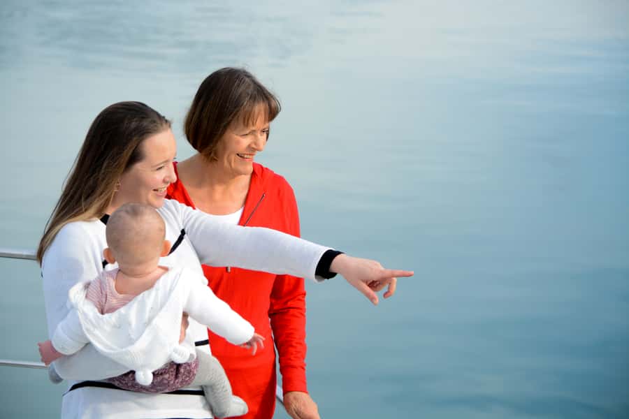 Akaroa: Dolphin Nature Cruise - What you’ll actually do, from check-in to return