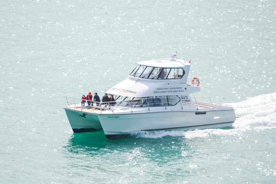 Akaroa: Dolphin Nature Cruise - The catamaran ride: stable, low, and built for spotting