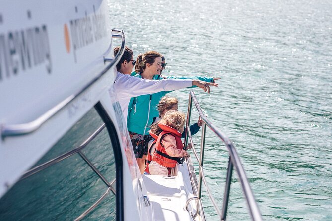 Akaroa Dolphins ~ Harbour Nature Cruise - Hector’s Dolphins in Akaroa: Why This Cruise Feels Special