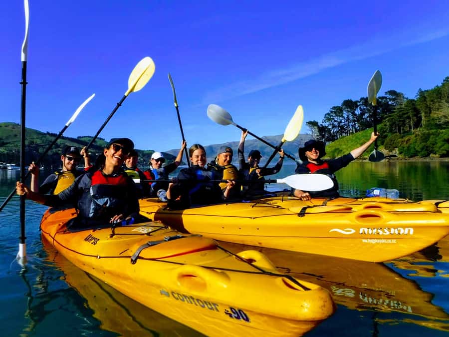 Akaroa: Electric Mountain Bike and Sea Kayak Adventure - Key points worth knowing before you go