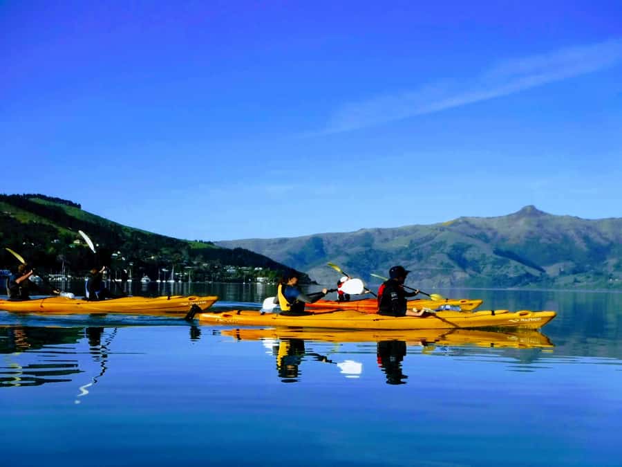 Akaroa: Electric Mountain Bike and Sea Kayak Adventure - The ebike ride: crater views, quiet roads, and photo stops