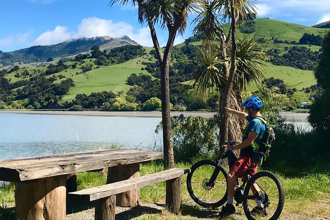 Akaroa Explorer- Guided Electric Bike Tour in Akaroa - The guide matters, and Grevel gets real credit