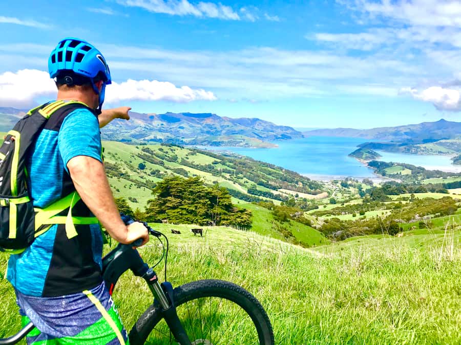 Akaroa Explorer: Guided Electric Mountain Bike Tour - Key highlights worth putting on your radar