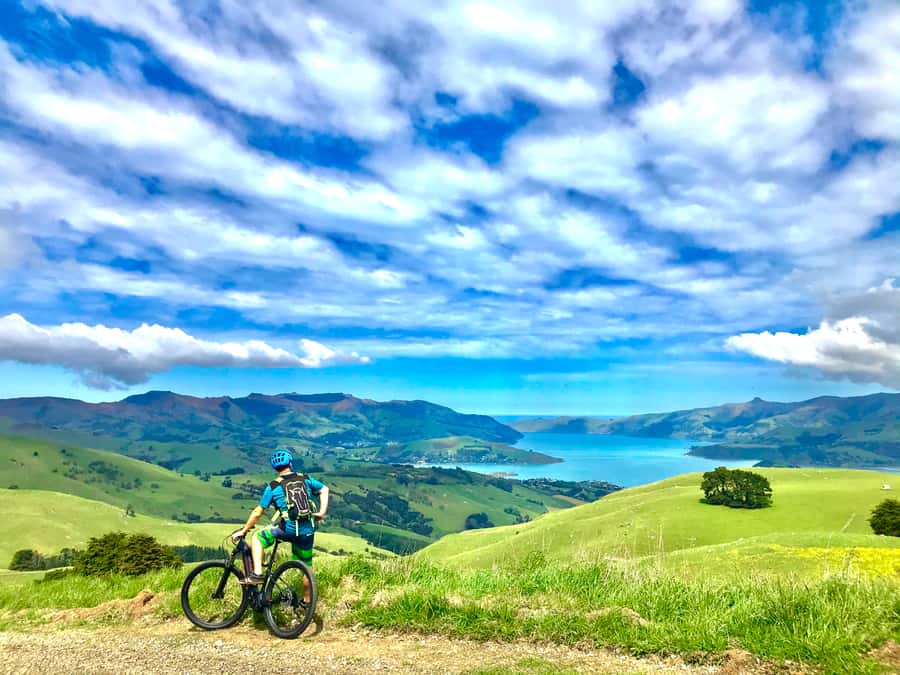 Akaroa Explorer: Guided Electric Mountain Bike Tour - Coastal Roads and Pacific Ocean Views, Powered for the Hills
