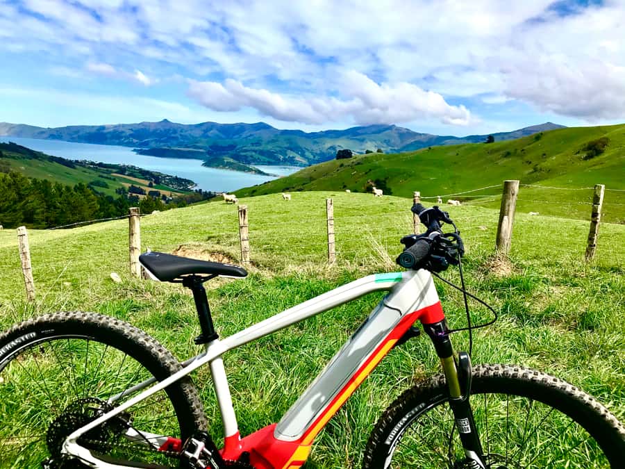 Akaroa Explorer: Guided Electric Mountain Bike Tour - What the Two-Hour Pace Really Feels Like