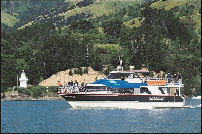 Akaroa Full Day Sightseeing Tour from Christchurch - A 9.5-hour Akaroa loop that feels built for your day