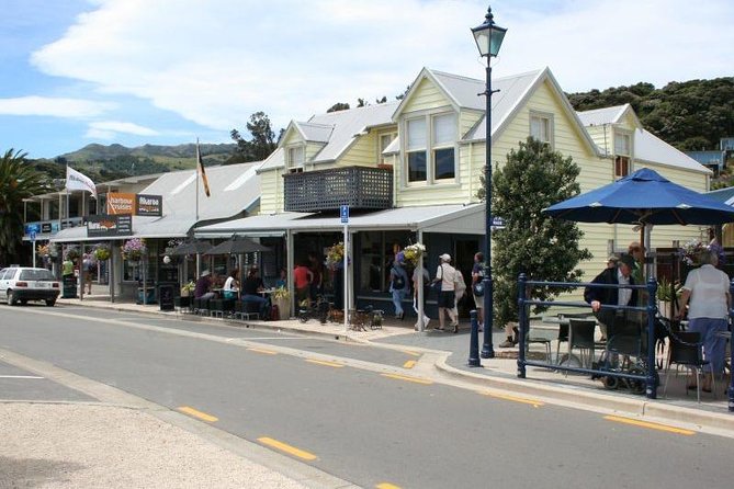 Akaroa Full Day Sightseeing Tour from Christchurch - The highlight: a 2-hour Akaroa Harbour nature cruise for Hector’s dolphins
