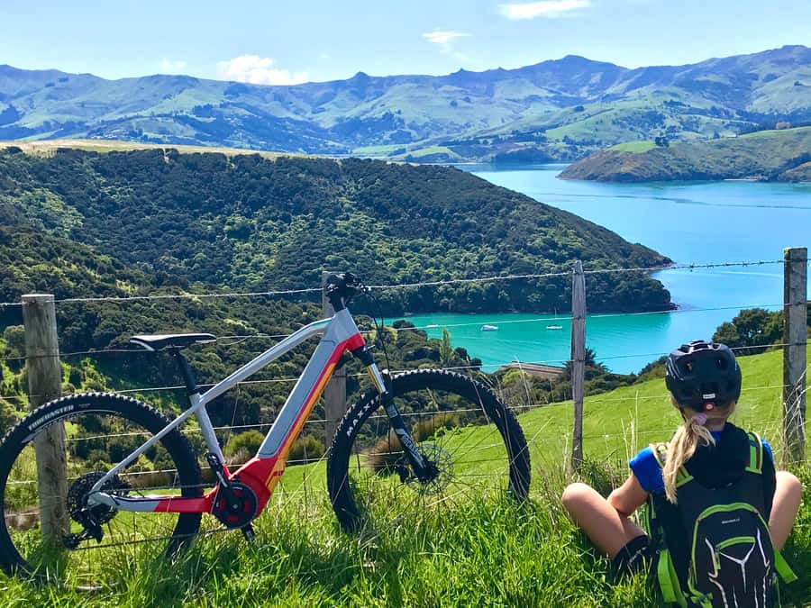 Akaroa: Guided Electric Mountain Bike Tour-Lava Loop - Key things you’ll notice on the Lava Loop