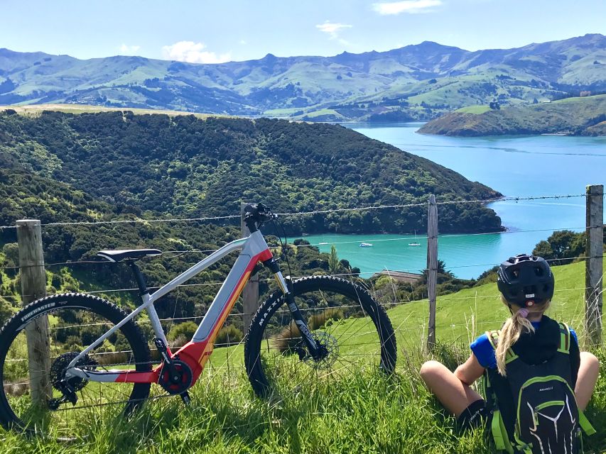 Akaroa: Guided Electric Mountain Bike Tour-Lava Loop - Price and Value: $104 for a 3-Hour E-Bike That Does the Hard Part