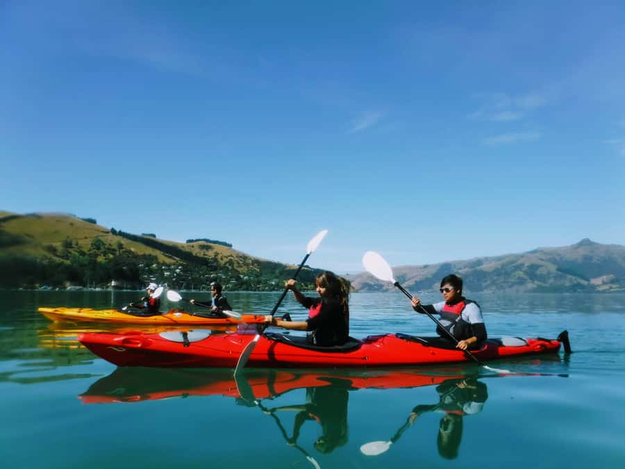Akaroa: Guided Sunrise Sea Kayaking Tour - Key Things to Know Before You Paddle