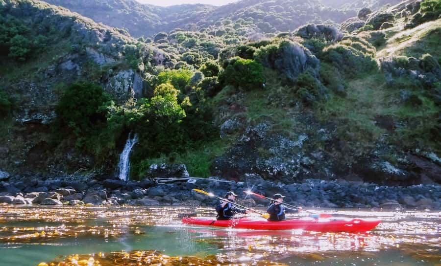 Akaroa: Guided Sunrise Sea Kayaking Tour - Why Akaroa Sunrise Sea Kayaking Feels Special