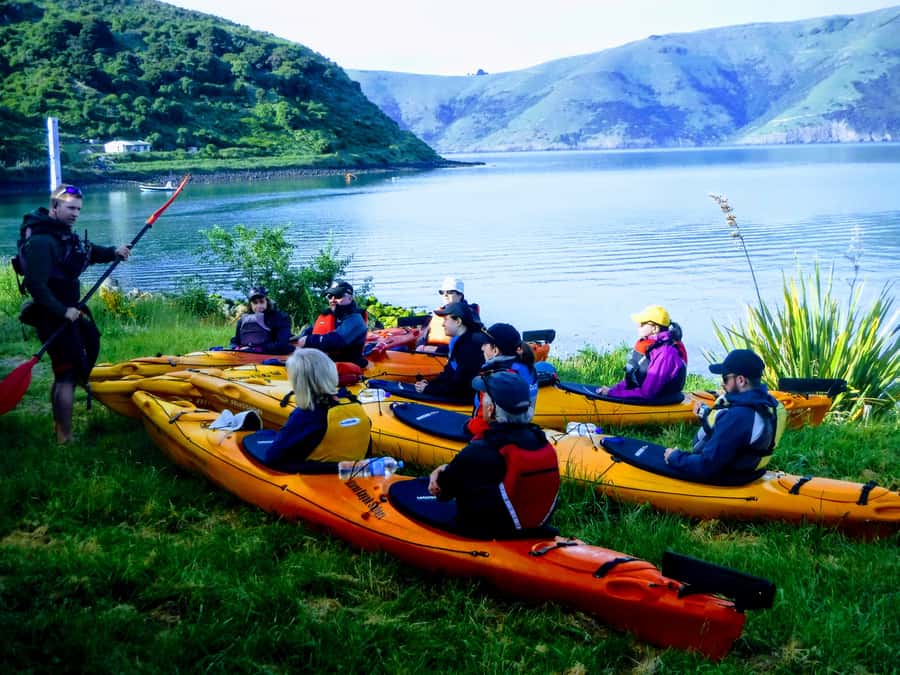 Akaroa: Guided Sunrise Sea Kayaking Tour - Your Guide and the Small-Group Advantage in Akaroa