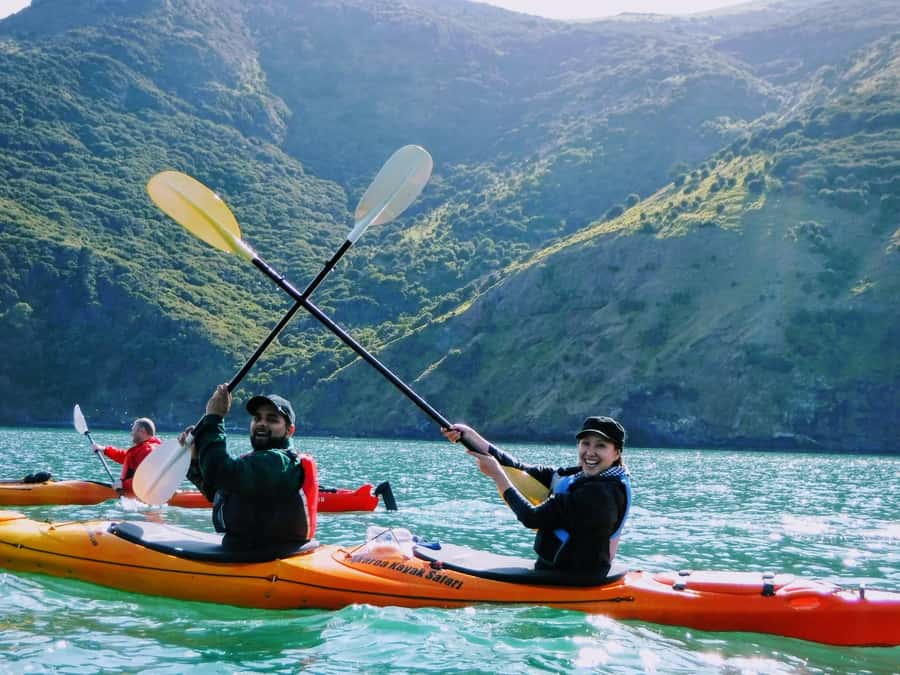 Akaroa: Guided Sunrise Sea Kayaking Tour - Price and Value: What $92 Gets You