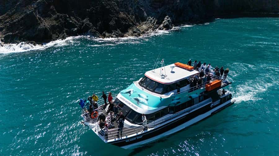 Akaroa Harbour 2-Hour Dolphin Nature Cruise - Sea caves, rocks like Cathedral and Elephant Rocks, and the fun of “finding” spots
