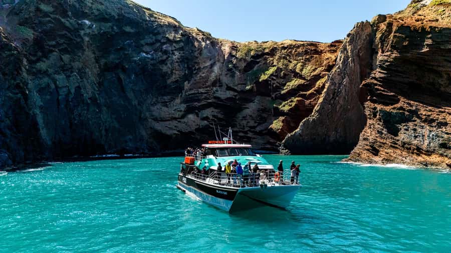 Akaroa Harbour 2-Hour Dolphin Nature Cruise - The 2-hour flow: Main Wharf out to the volcanic crater, then back again