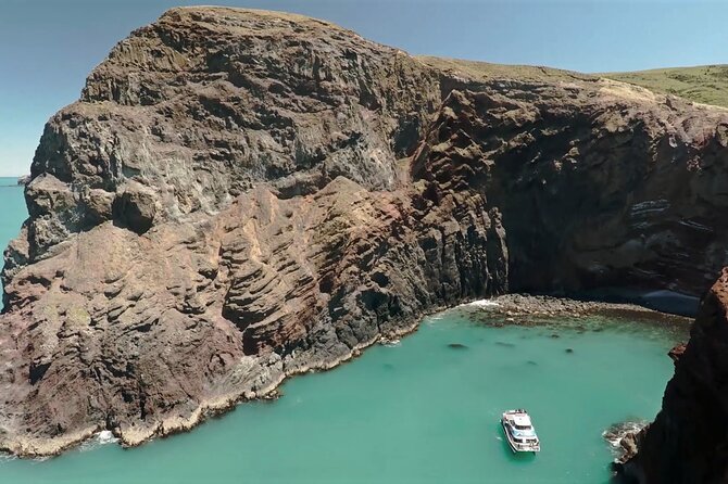 Akaroa Harbour Nature Cruise - Key things to know before you sail Akaroa Harbour