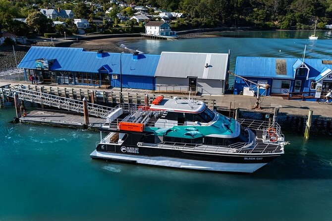 Akaroa Harbour Nature Cruise - Stop-by-stop: how the three named points shape your trip