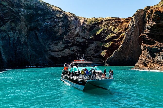 Akaroa Harbour Nature Cruise - Price and value for $77.57 for 2 hours at sea